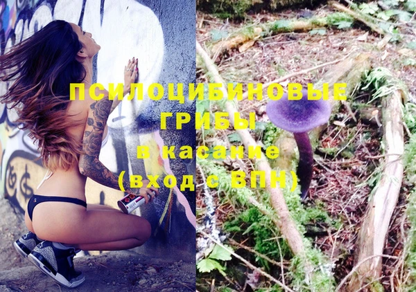 экстази Алексеевка