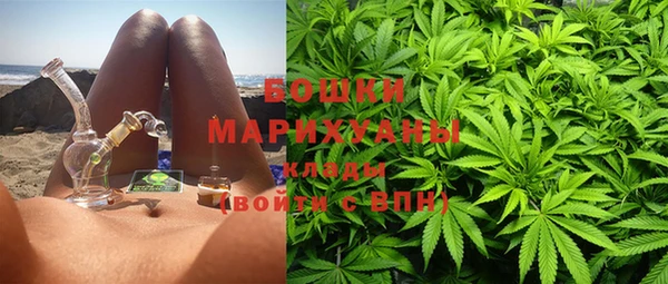 шишки Алзамай