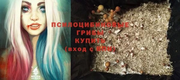 шишки Алзамай