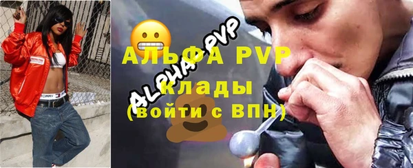 шишки Алзамай