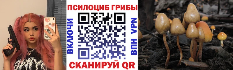 Галлюциногенные грибы GOLDEN TEACHER  Лахденпохья 